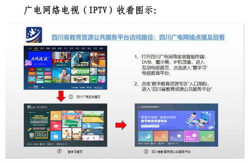 四川省中小學(xué)線(xiàn)上學(xué)習(xí)指導(dǎo)手冊(cè)（試用版）——基于成都互聯(lián)網(wǎng)信息服務(wù)的實(shí)踐應(yīng)用