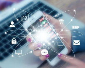 成都網(wǎng)站建設(shè)與域名交易指南 一站式互聯(lián)網(wǎng)服務(wù)解決方案